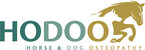 Hodoo – Horse & Dog Osteopathy