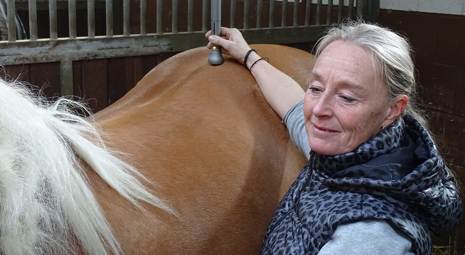 Susanne bei der Pferdebehandlung