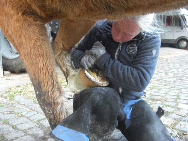 Hufbehandlung