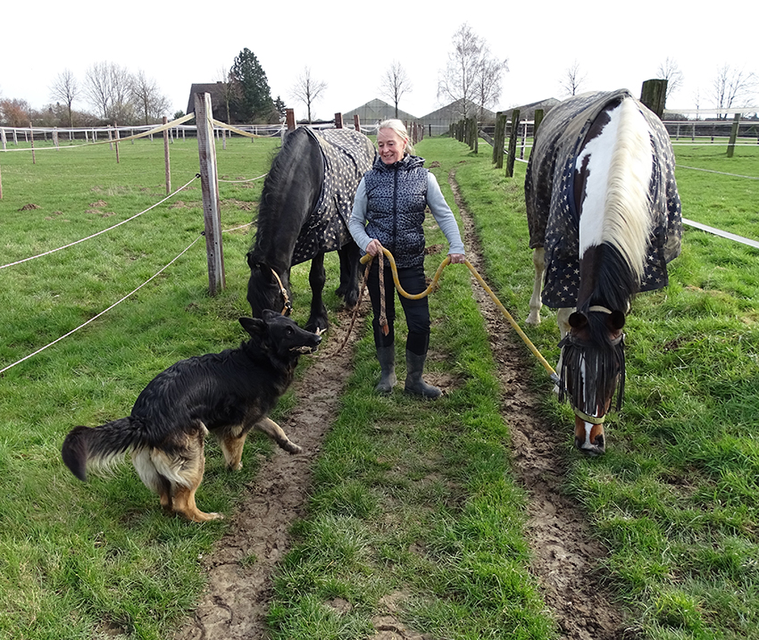 Susanne mit Hund und Pferden