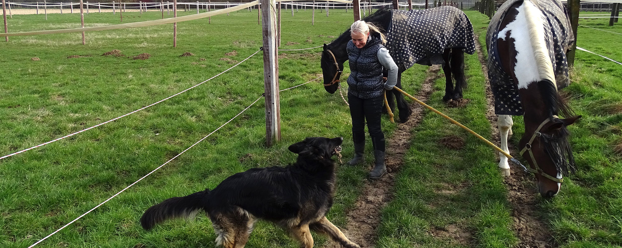 Susanne mit Tieren auf der Weide