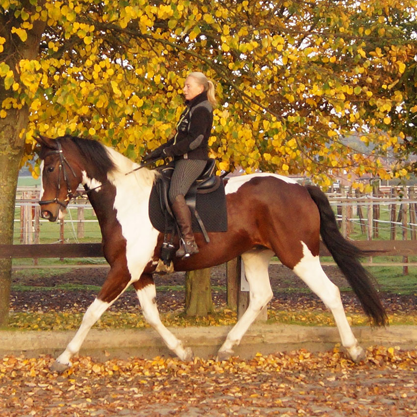 Reiten im Herbst